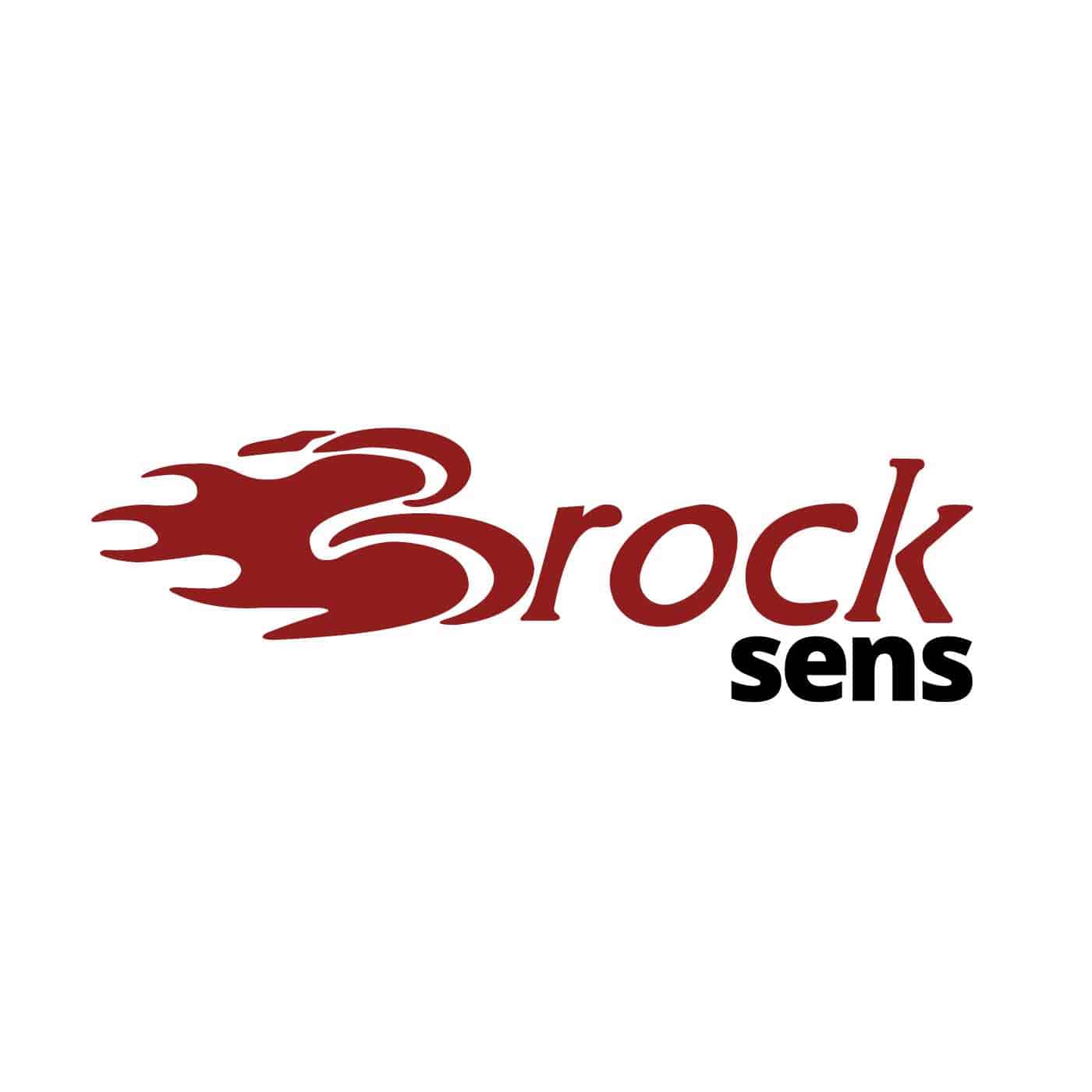 BROCKsens Logo RDKS