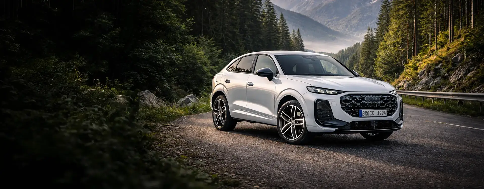 RC-Design RC29 auf Audi Q3 FJ