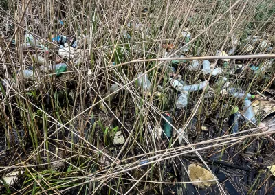 Nachhaltigkeit in der Praxis - Brock Alloy Wheels