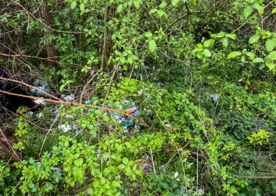 Nachhaltigkeit in der Praxis - Brock Alloy Wheels