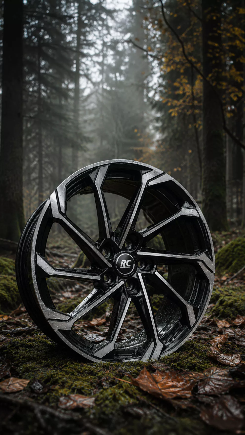 RC-Design RC36 SGVP in herbstlicher Waldlandschaft